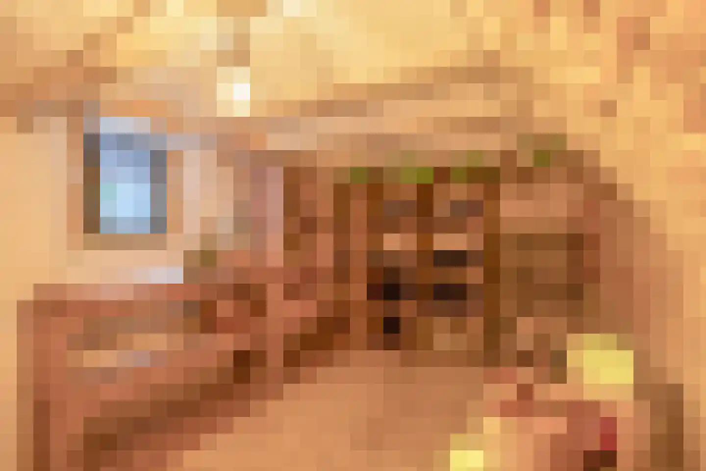 Raadhuisstraat 46 Zuidland thumbnail 7