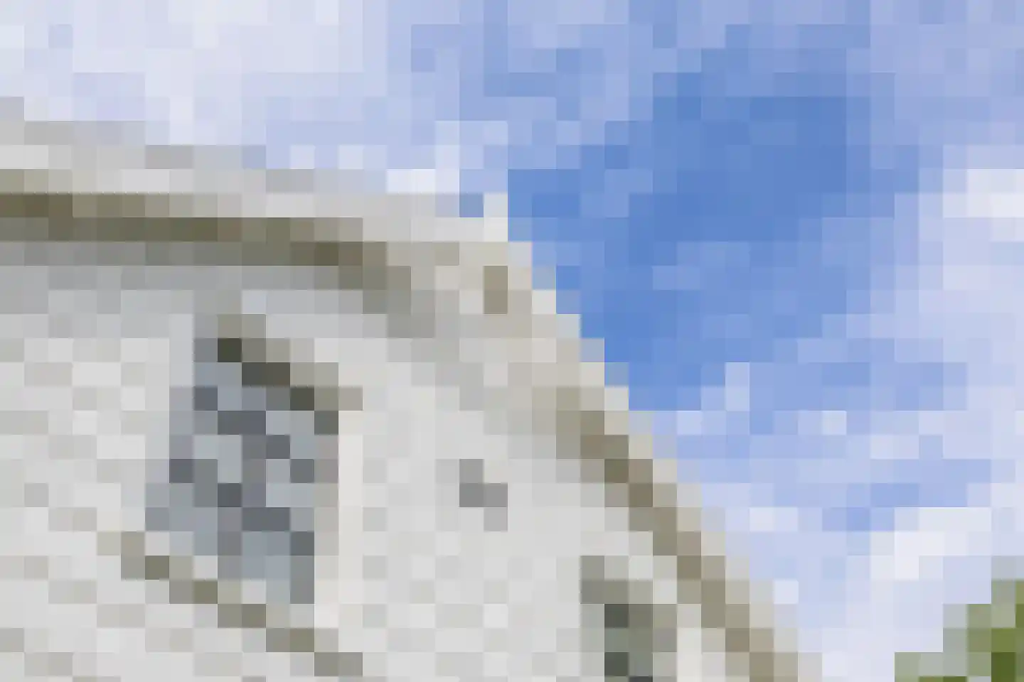 Raadhuisstraat 46 Zuidland thumbnail 8