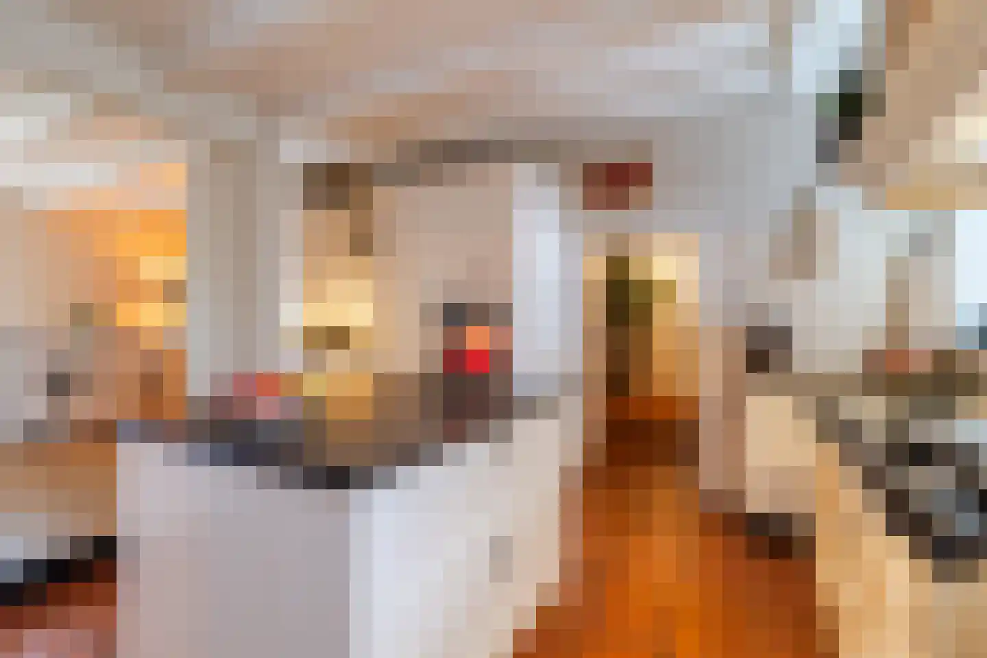 Raadhuisstraat 46 Zuidland thumbnail 8