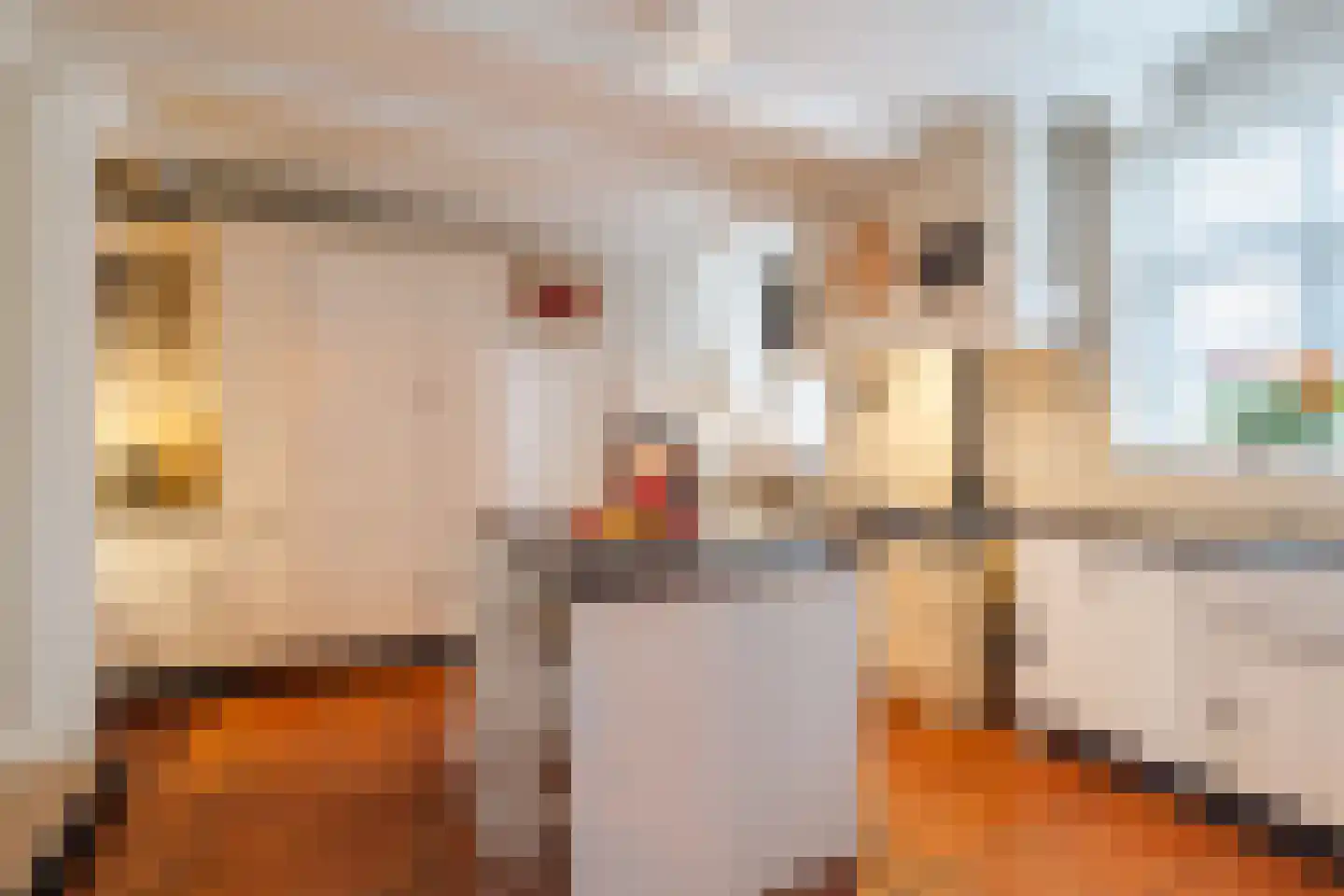 Raadhuisstraat 46 Zuidland thumbnail 9