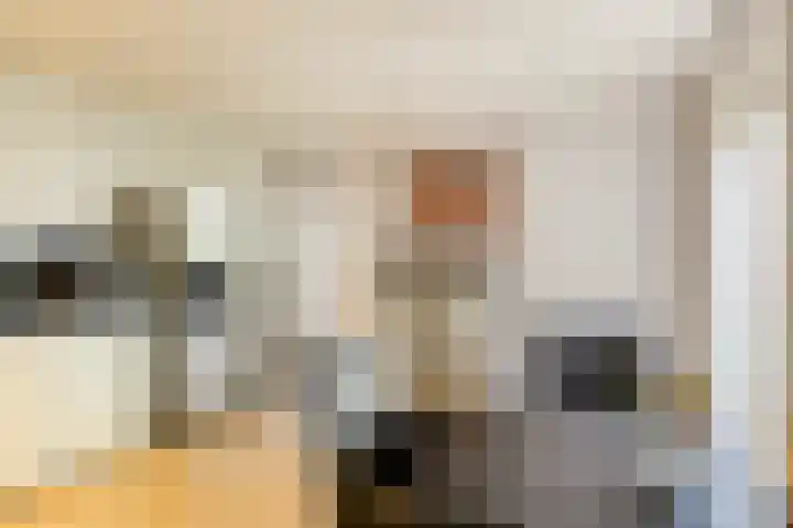 Raadhuisstraat 47 Rosmalen thumbnail 15
