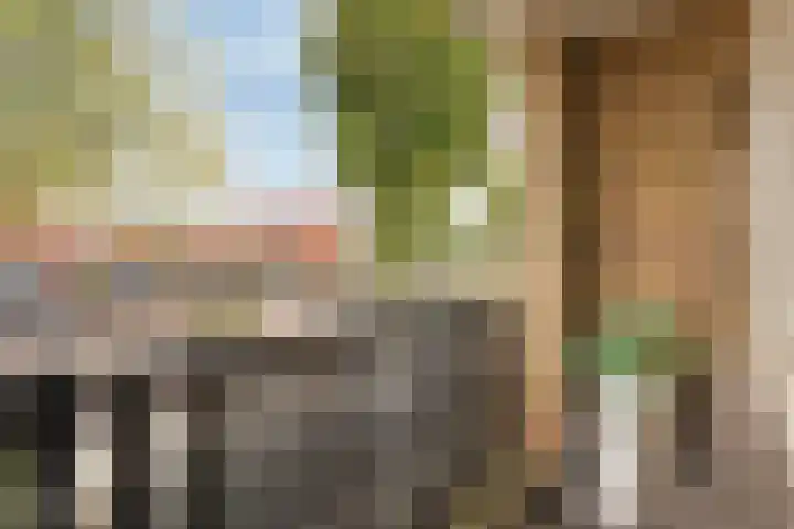 Raadhuisstraat 47 Rosmalen thumbnail 21