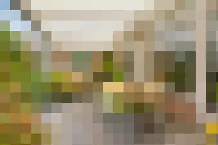 Raadhuisstraat 47 Rosmalen thumbnail 29