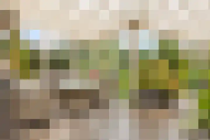 Raadhuisstraat 47 Rosmalen thumbnail 30