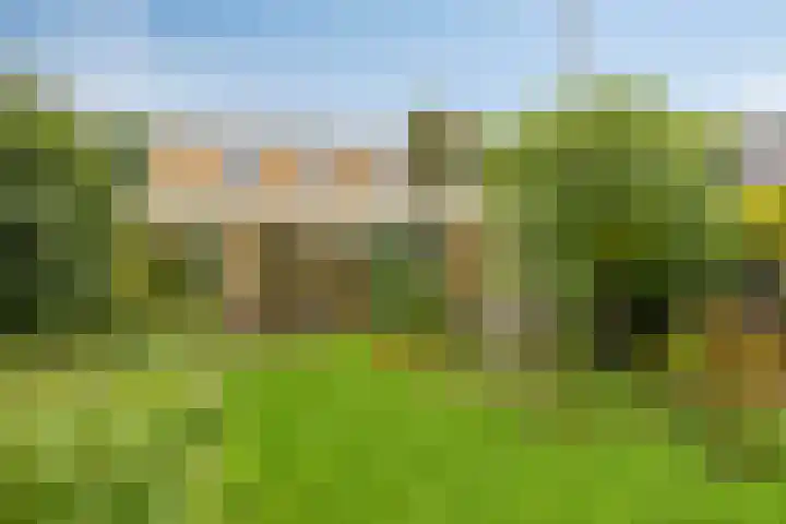 Raadhuisstraat 47 Rosmalen thumbnail 33
