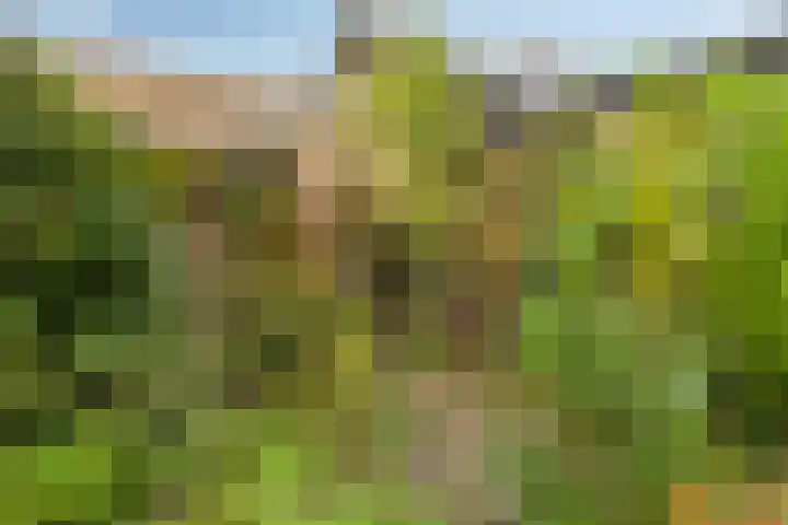 Raadhuisstraat 47 Rosmalen thumbnail 36