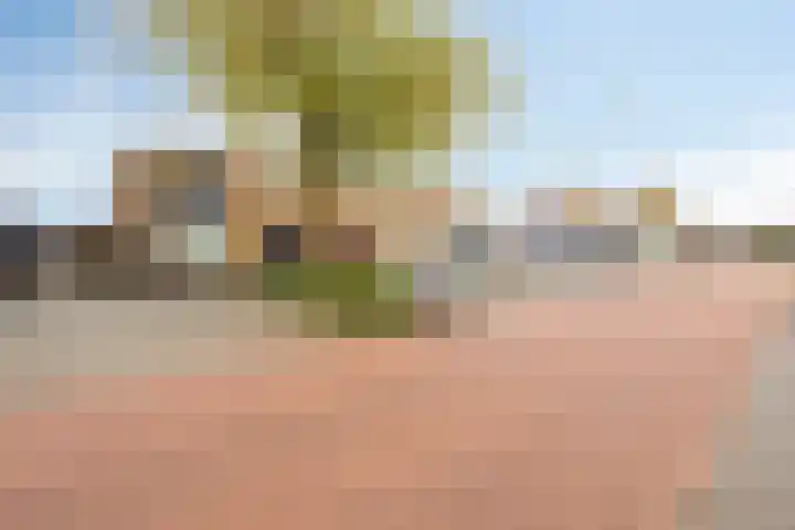 Raadhuisstraat 47 Rosmalen thumbnail 38