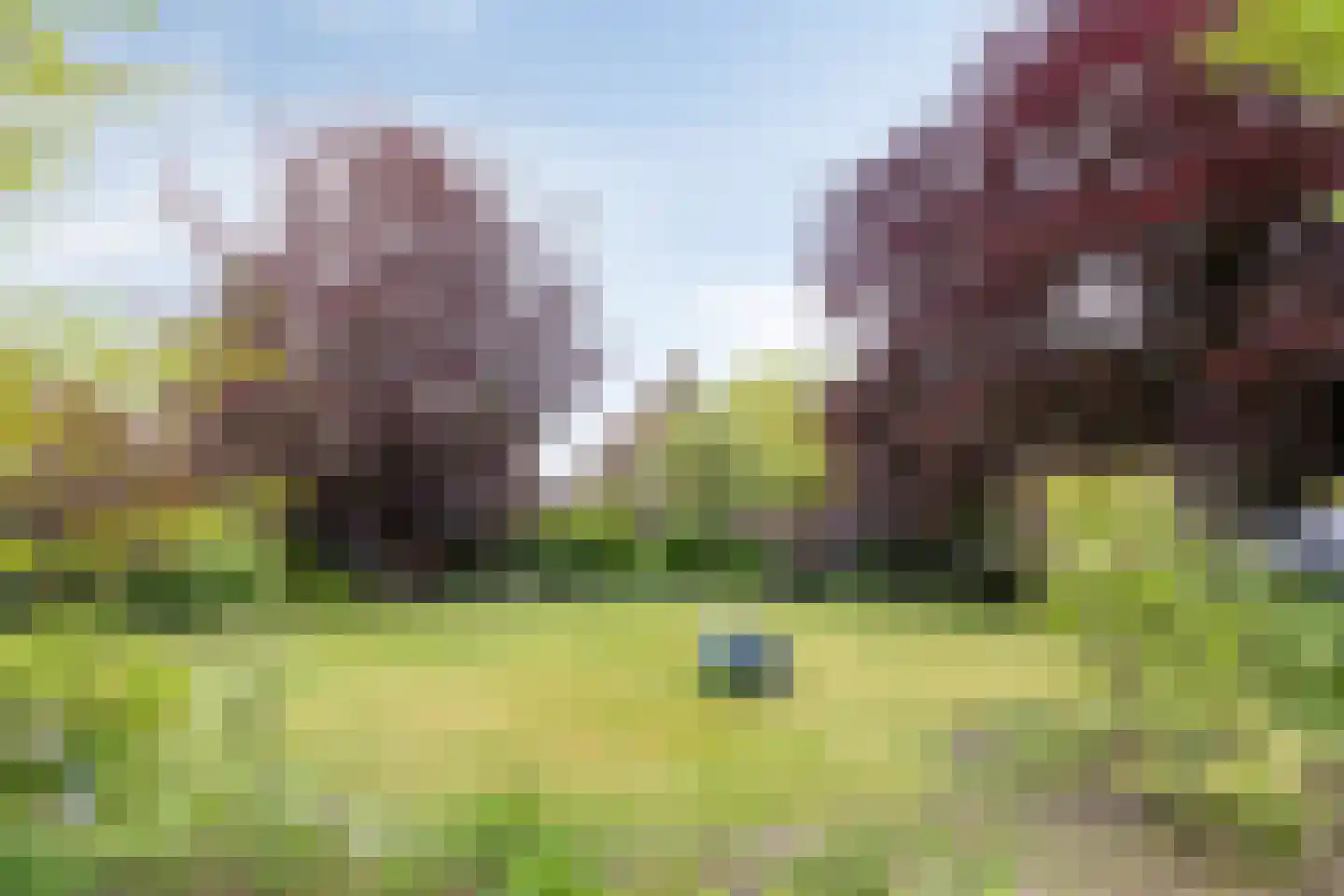 Raadhuisstraat 48 Roden thumbnail 35