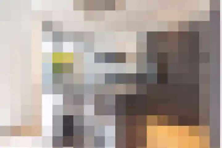Raadhuisstraat 48 Urmond thumbnail 11