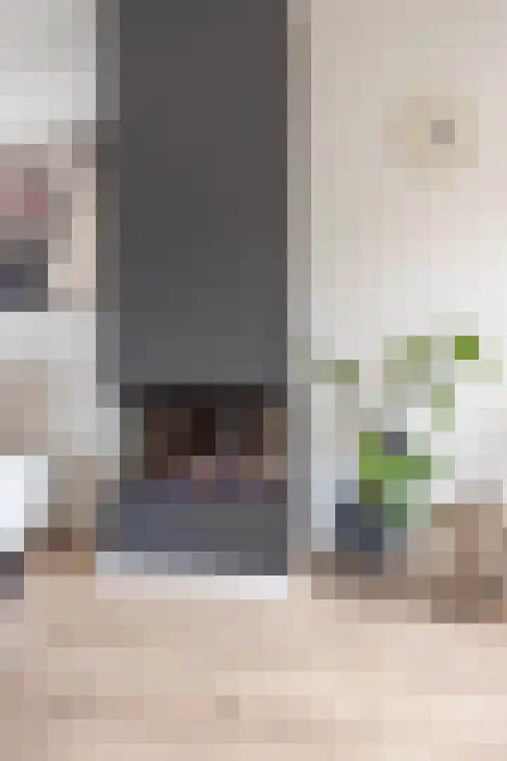 Raadhuisstraat 48 Urmond thumbnail 18