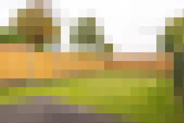 Raadhuisstraat 48 Urmond thumbnail 46
