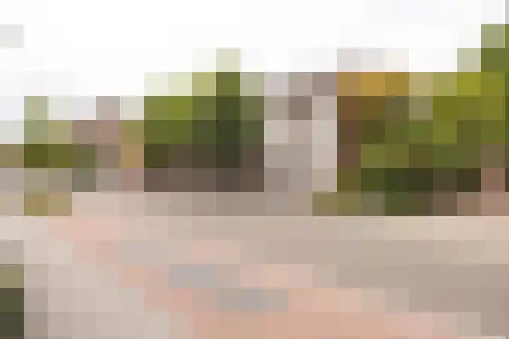 Raadhuisstraat 48 Urmond thumbnail 5