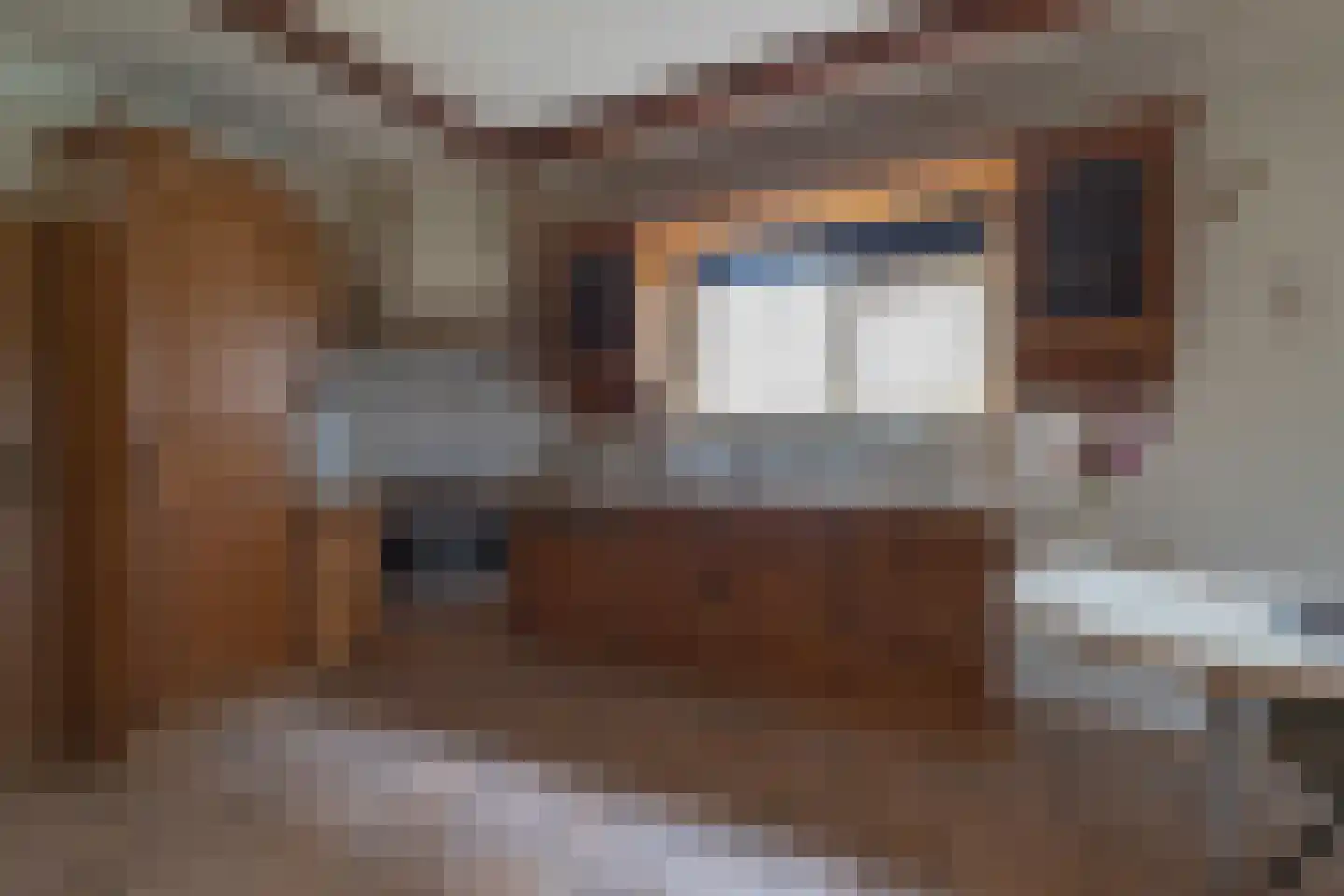 Raadhuisstraat 49 Wildervank thumbnail 12