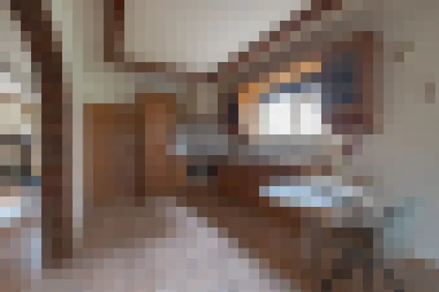 Raadhuisstraat 49 Wildervank thumbnail 13