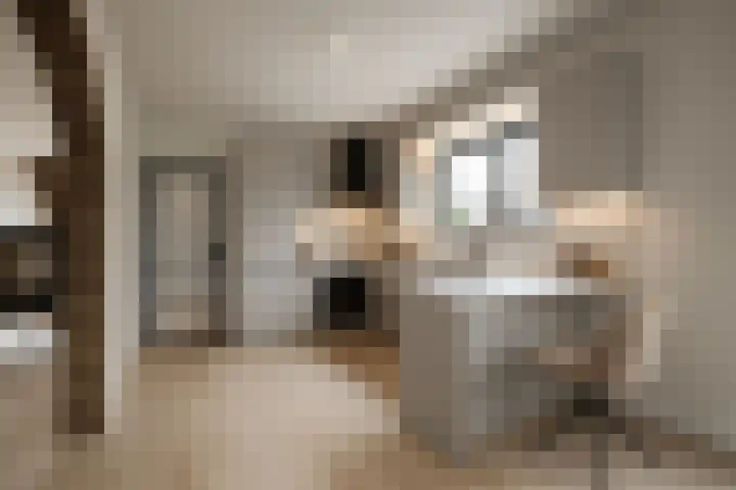 Raadhuisstraat 49 Wildervank thumbnail 14