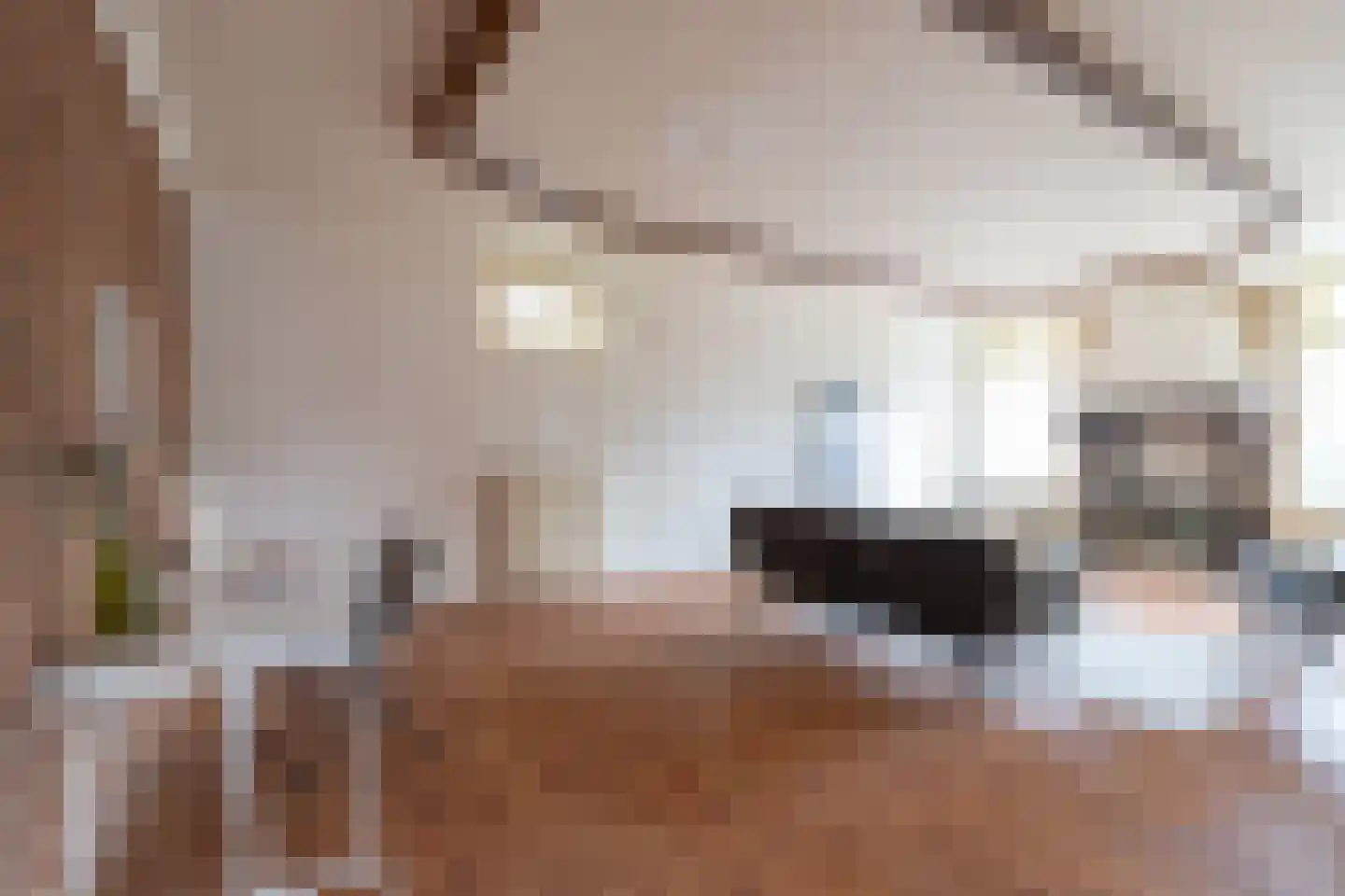 Raadhuisstraat 49 Wildervank thumbnail 15