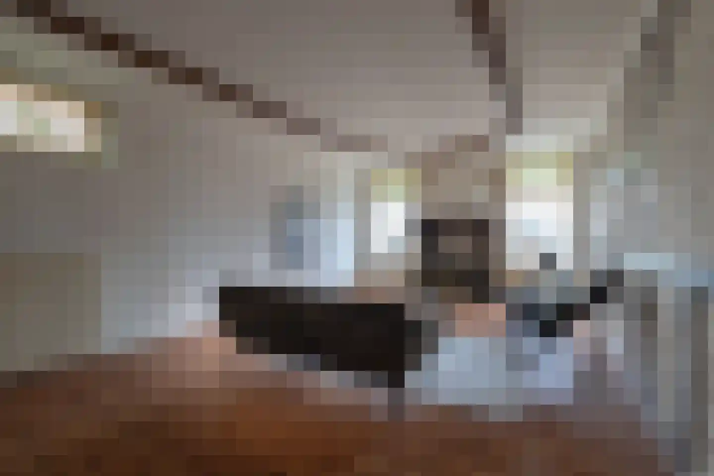 Raadhuisstraat 49 Wildervank thumbnail 16