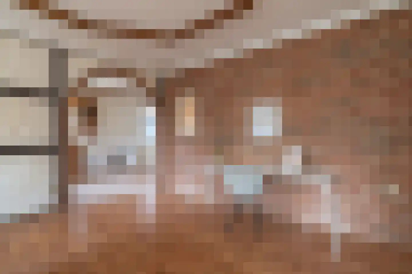Raadhuisstraat 49 Wildervank thumbnail 21