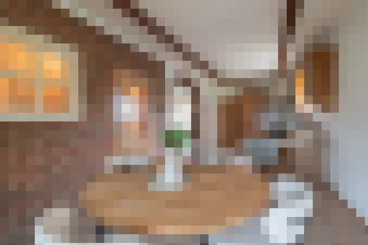 Raadhuisstraat 49 Wildervank thumbnail 24