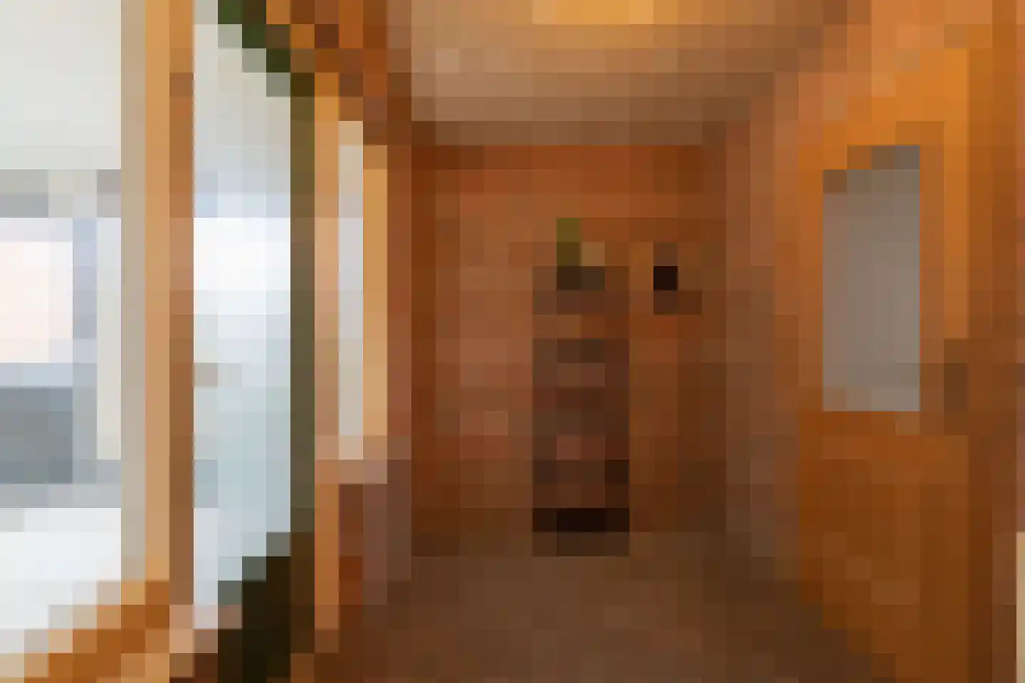 Raadhuisstraat 49 Wildervank thumbnail 28