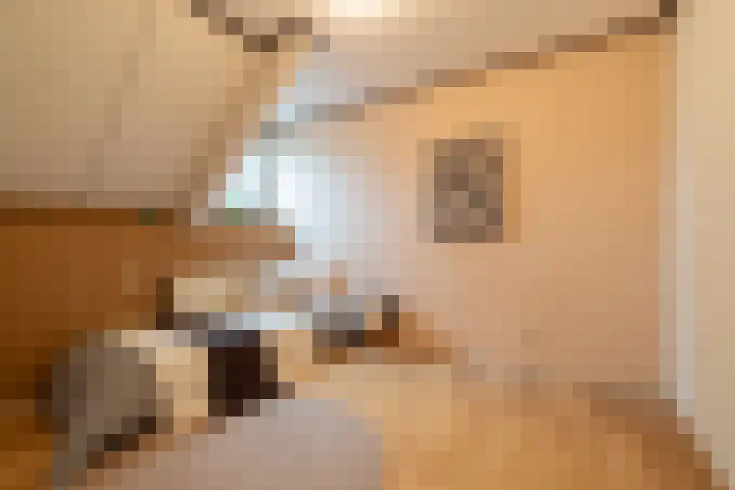 Raadhuisstraat 49 Wildervank thumbnail 34