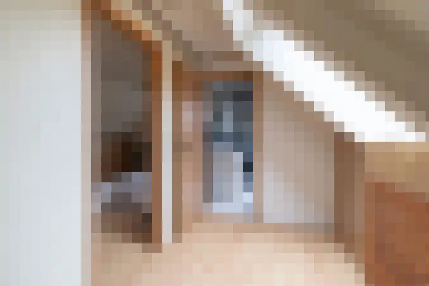 Raadhuisstraat 49 Wildervank thumbnail 36
