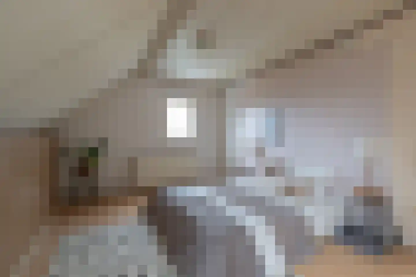 Raadhuisstraat 49 Wildervank thumbnail 38