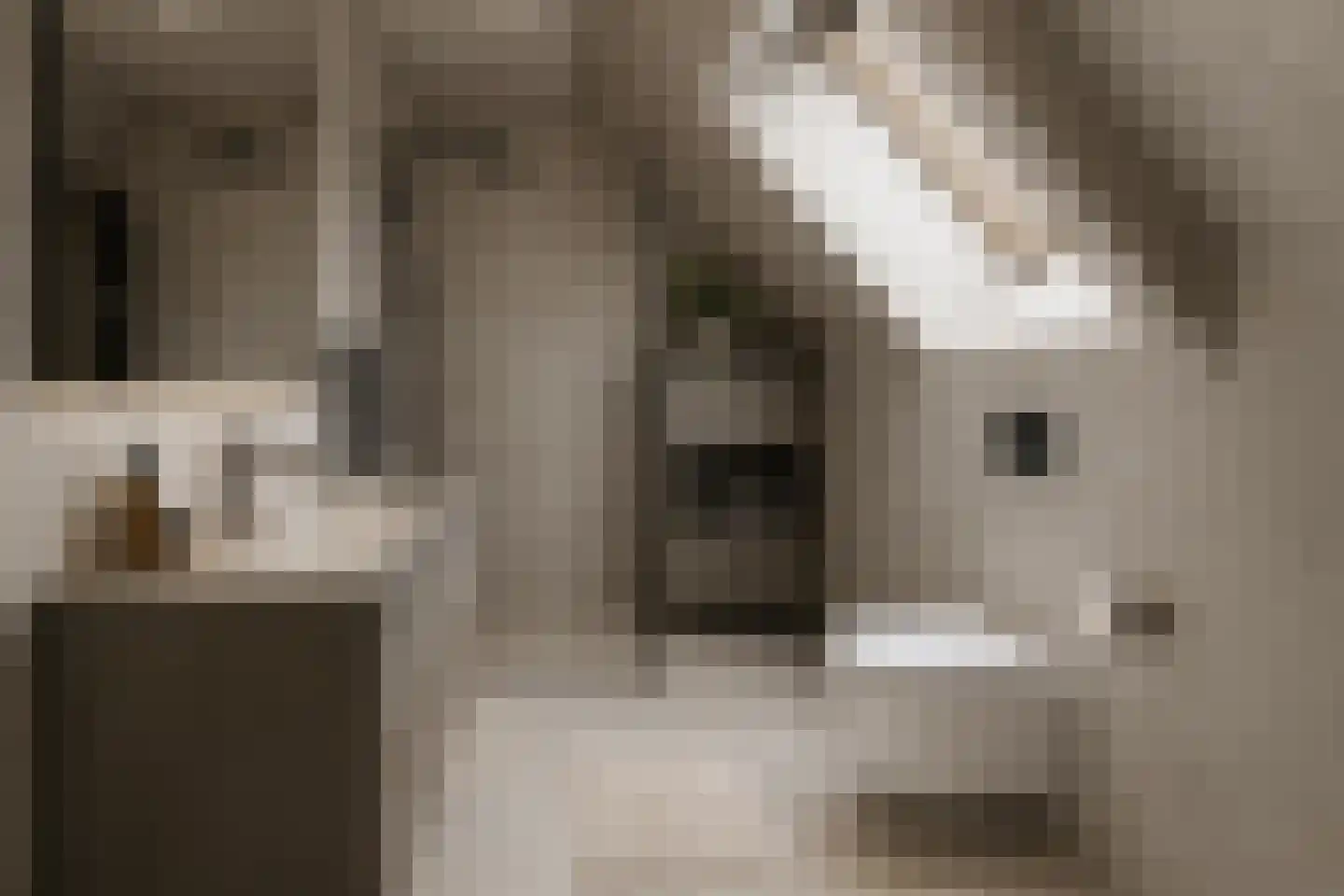 Raadhuisstraat 49 Wildervank thumbnail 41