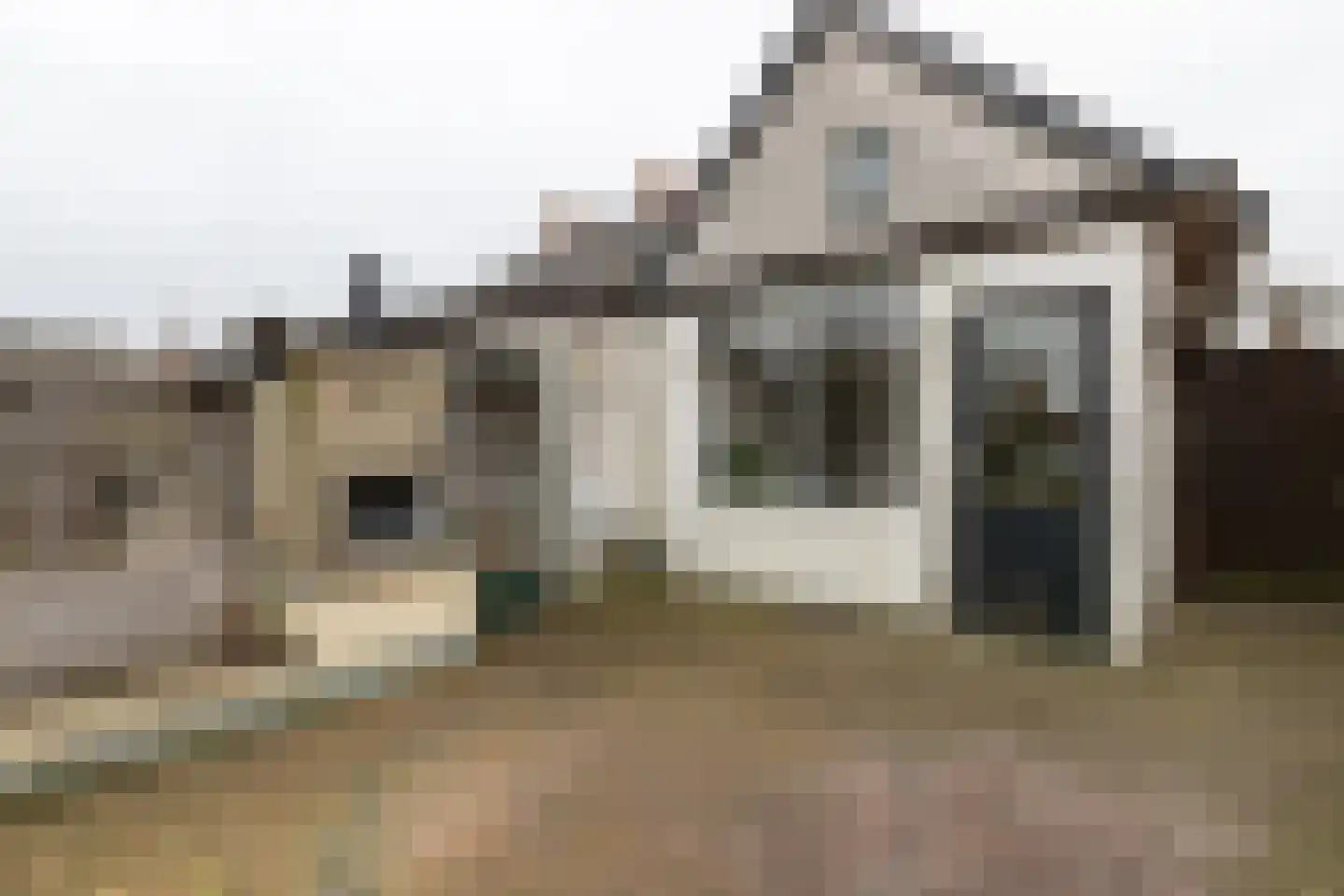 Raadhuisstraat 49 Wildervank thumbnail 42