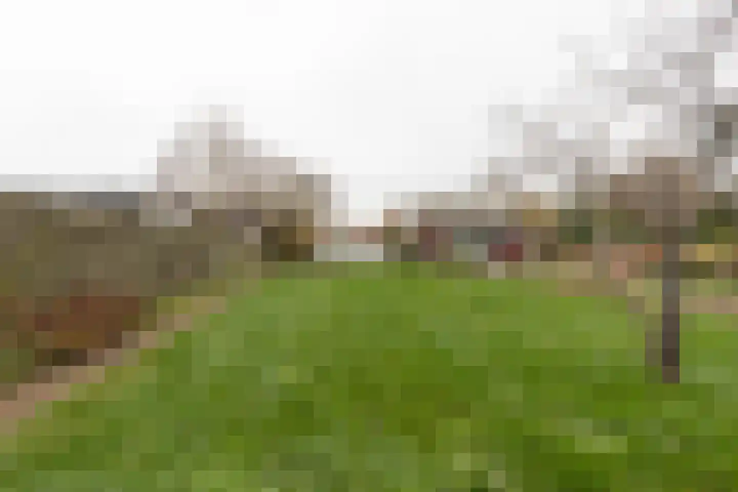 Raadhuisstraat 49 Wildervank thumbnail 44