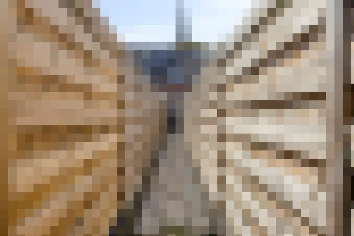 Raadhuisstraat 5 a Alphen thumbnail 43