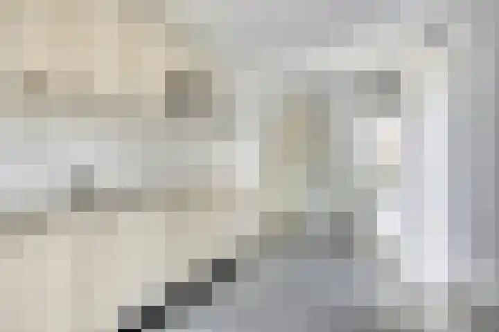 Raadhuisstraat 5 Alphen thumbnail 12