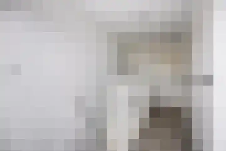 Raadhuisstraat 5 Alphen thumbnail 19