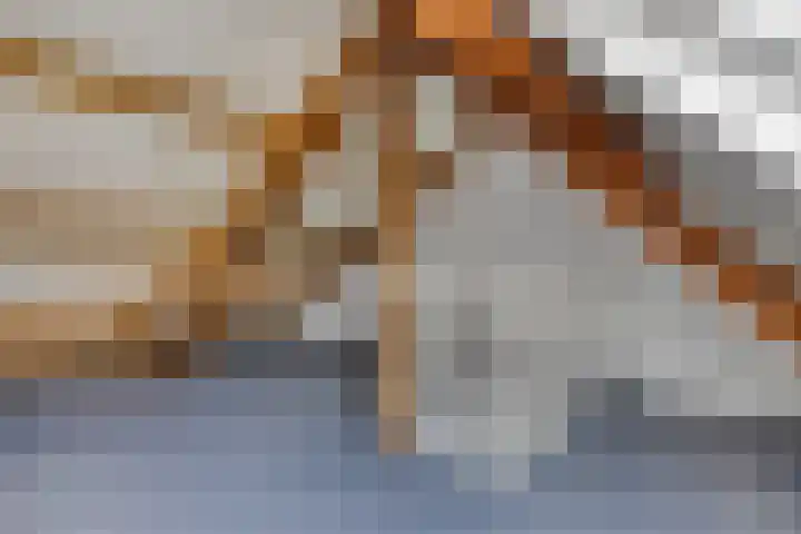 Raadhuisstraat 5 Alphen thumbnail 31