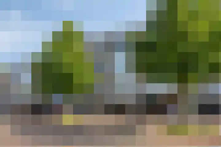 Raadhuisstraat 5 Beverwijk thumbnail 19