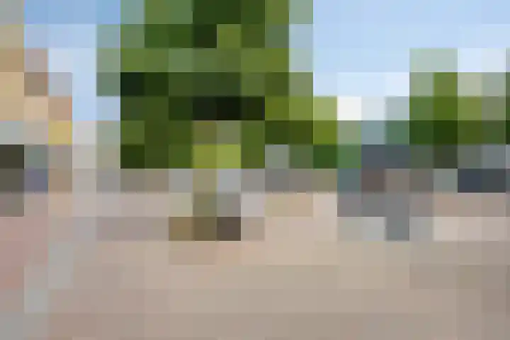 Raadhuisstraat 5 Beverwijk thumbnail 25