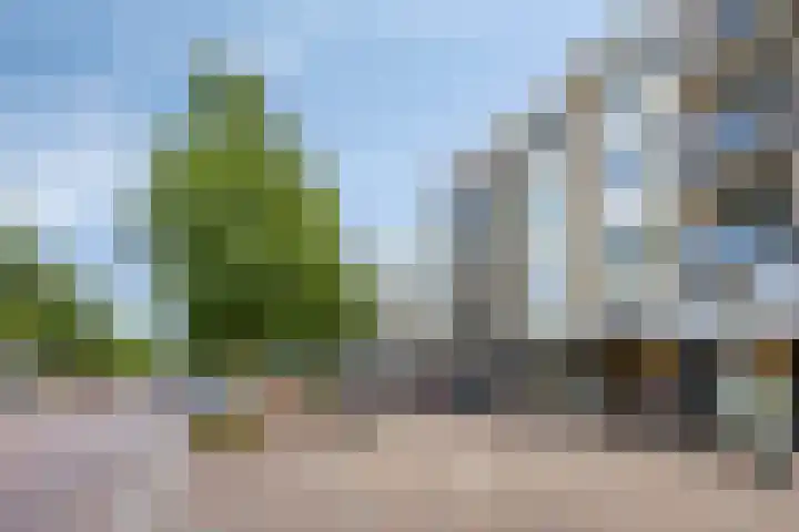 Raadhuisstraat 5 Beverwijk thumbnail 26