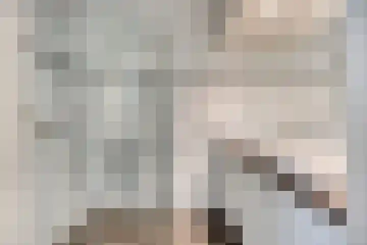 Raadhuisstraat 5 Beverwijk thumbnail 5