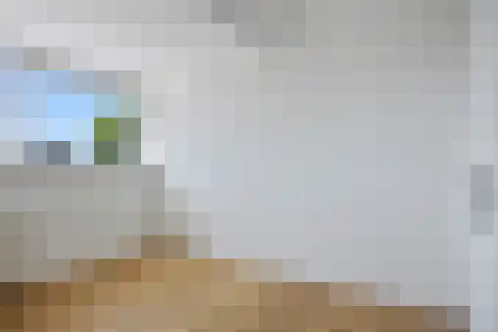 Raadhuisstraat 5 C Heerhugowaard thumbnail 12