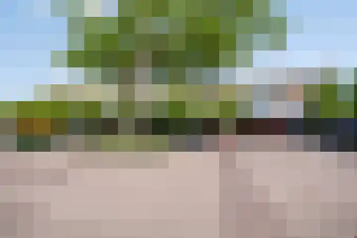 Raadhuisstraat 5 C Heerhugowaard thumbnail 28