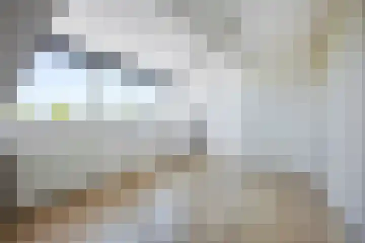 Raadhuisstraat 5 C Heerhugowaard thumbnail 7