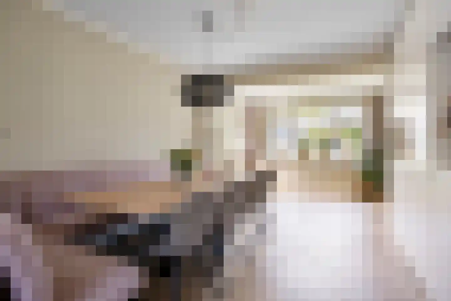 Raadhuisstraat 5 Hellendoorn thumbnail 10