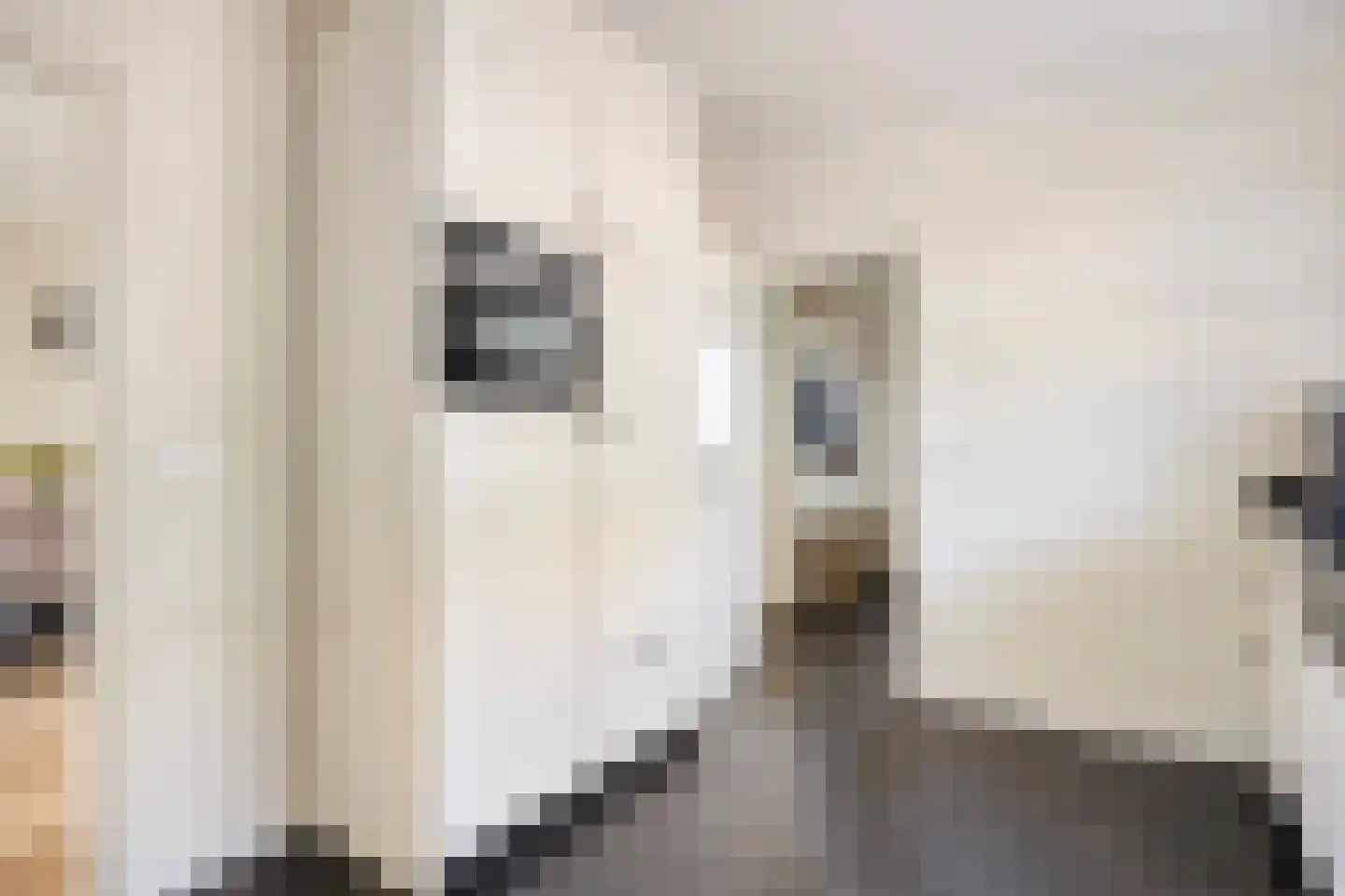Raadhuisstraat 5 Hellendoorn thumbnail 16