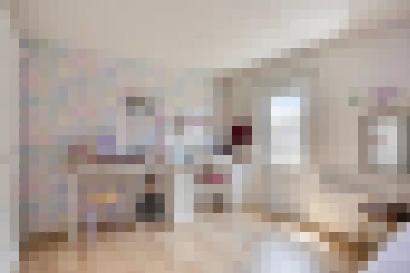 Raadhuisstraat 5 Hellendoorn thumbnail 27