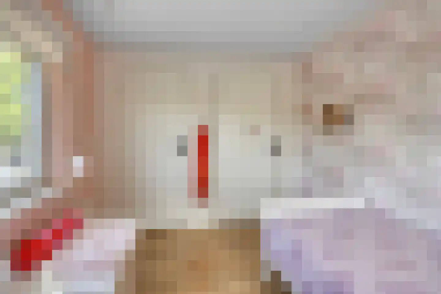 Raadhuisstraat 5 Hellendoorn thumbnail 30