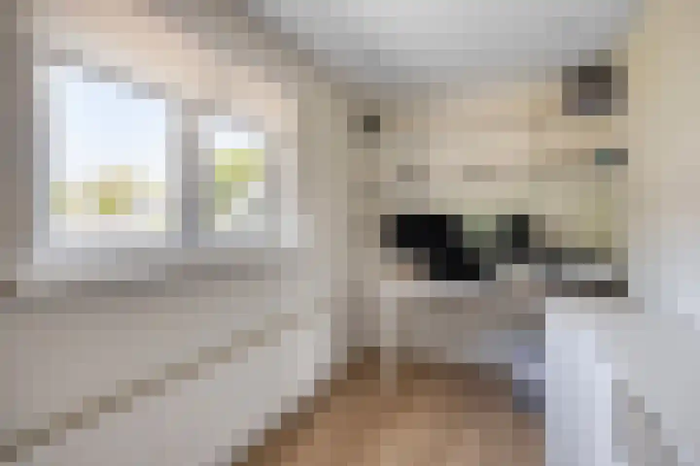 Raadhuisstraat 5 Hellendoorn thumbnail 31