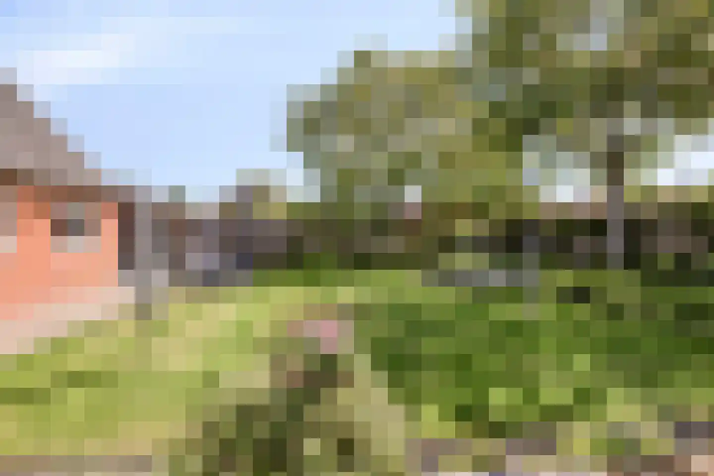 Raadhuisstraat 5 Hellendoorn thumbnail 35