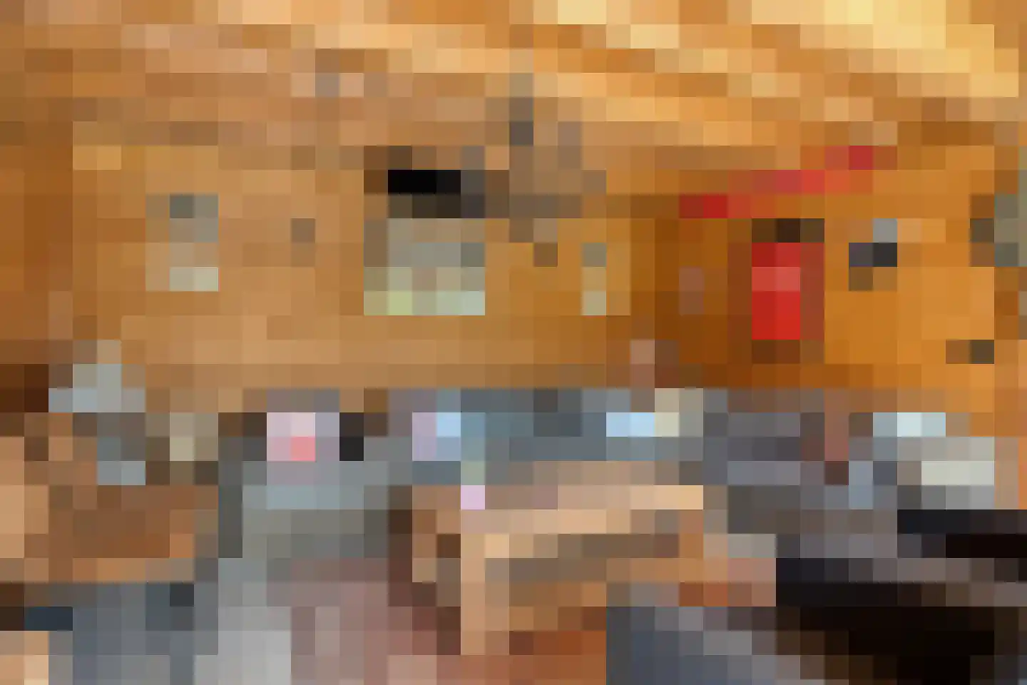 Raadhuisstraat 5 Hellendoorn thumbnail 39
