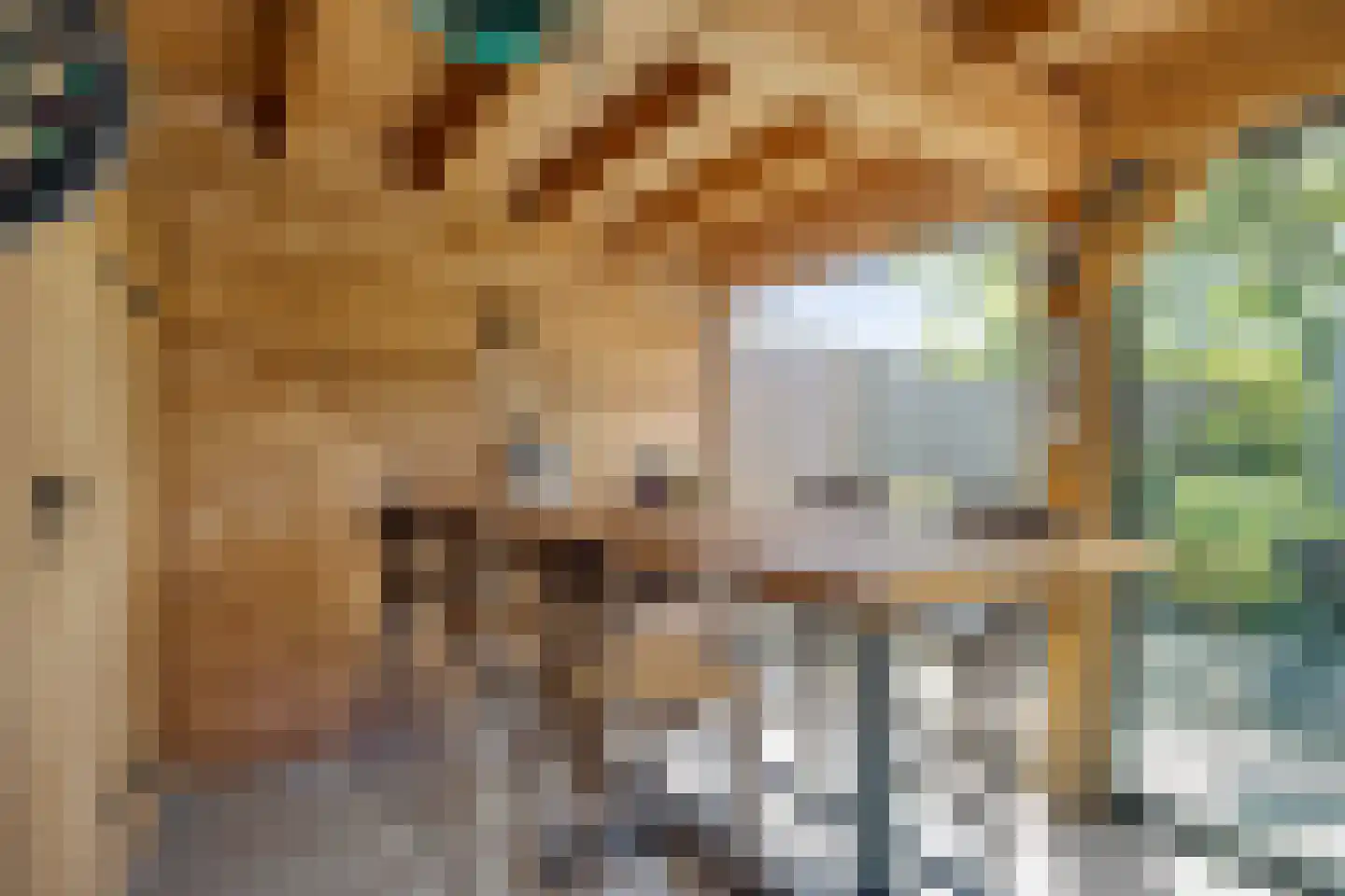 Raadhuisstraat 5 Hellendoorn thumbnail 40