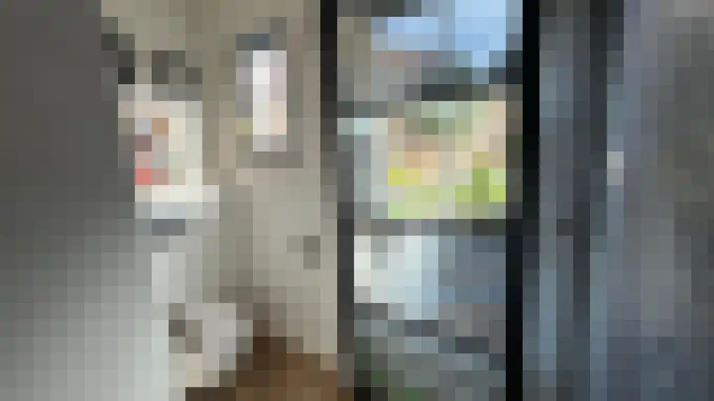 Raadhuisstraat 5 Hoogerheide thumbnail 12